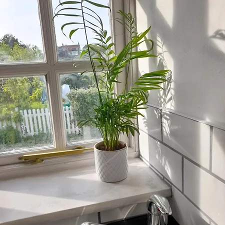My Little Studio Farmborough Exterior photo